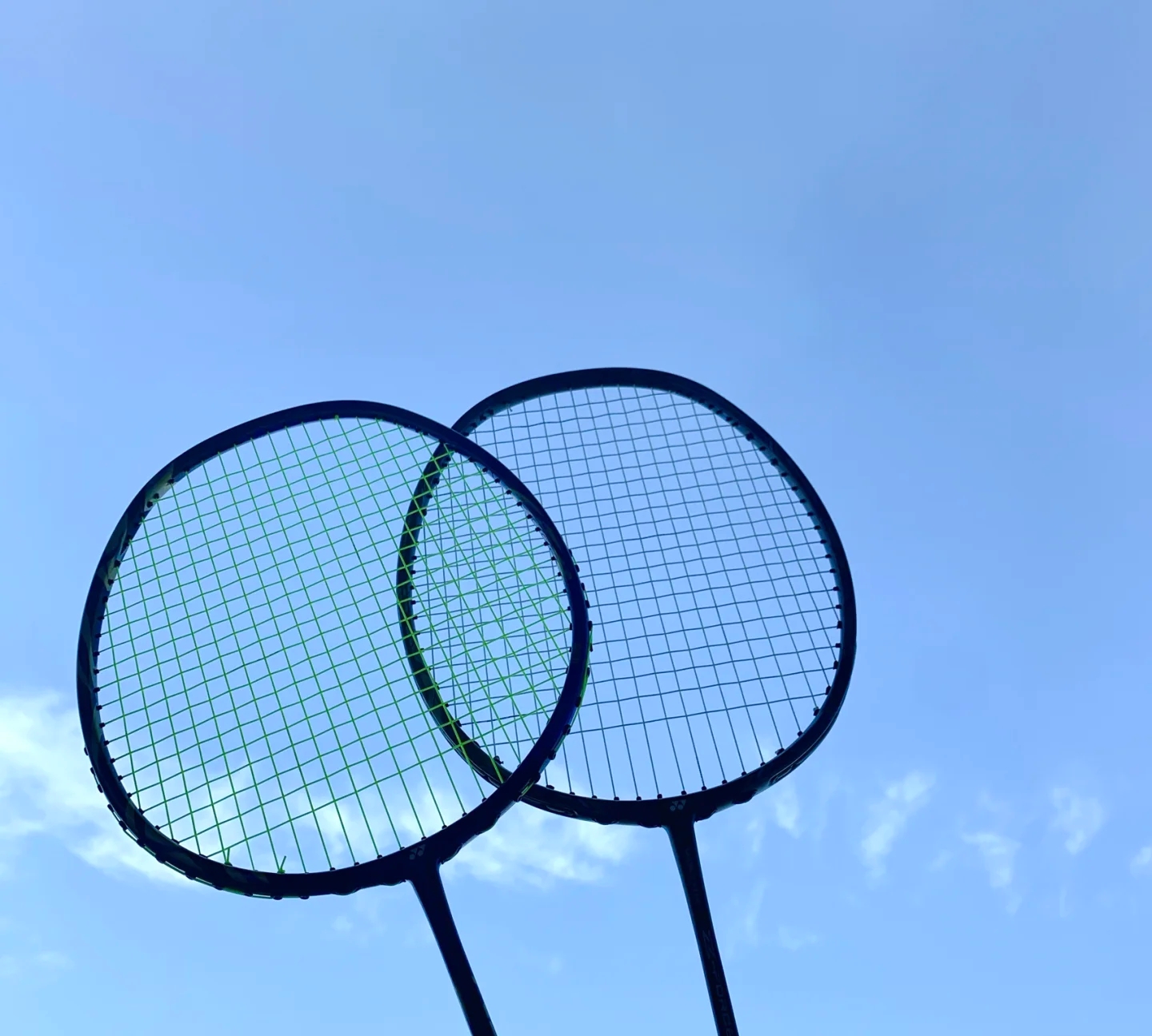 由此可见 由此可见